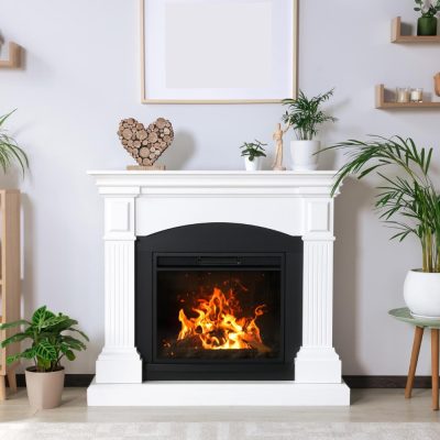interieur-salon-elegant-cheminee-plantes-interieur-armoire